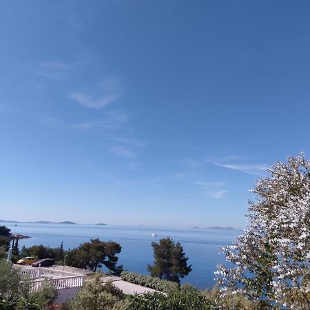 Amazing Villa Galeb In ムルテル 部屋 写真