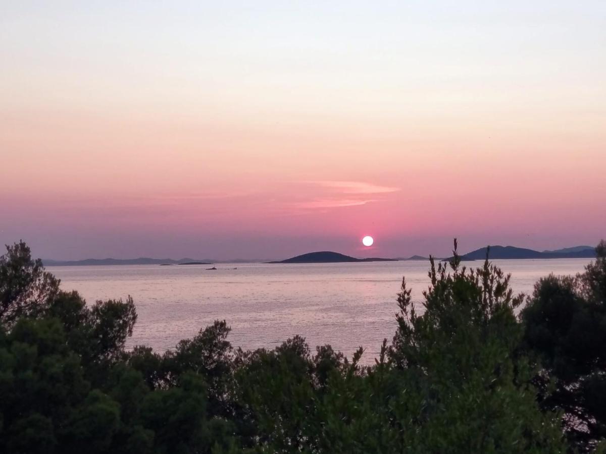 Amazing Villa Galeb In ムルテル エクステリア 写真